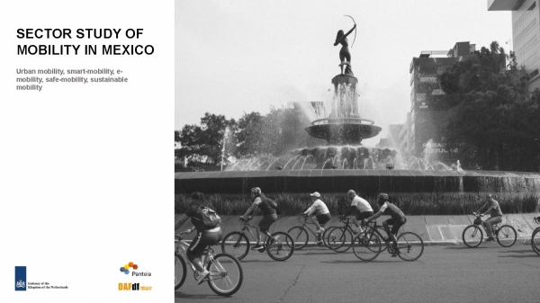 Sector Study on Mobility in Mexico   